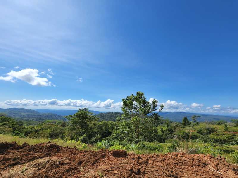 0 bed Lot/Land For Sale in Osa Peninsula, 